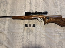 Ruger 10/22 Target mit Bushnell-Zielfernrohr, Briley Schaft und drei Magazinen