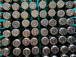 6,5 Creedmoor Hülsen 120 Stck von S&B