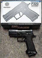 SIG Sauer Proforce P320 X Carry Gas Blowback Custom
