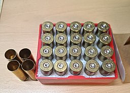 Hülsen .45 Colt