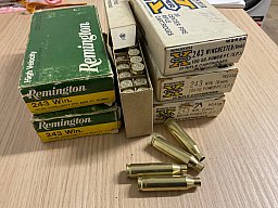 Hülsen .243 Win