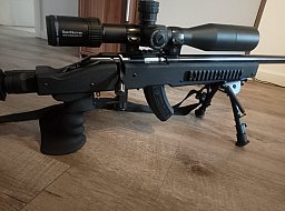 Special Ruger American Rimfire Target .22 lfB AR-Style