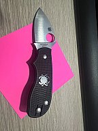 Spyderco Squeak
