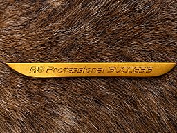 Blaser R8 Spange für Professionell Success in Gold Titannitriert Original TOP