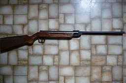 Diana Mod. 25