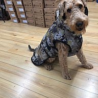 Blaser Hundeponcho Fab. Camo; Gr. L *Neu*