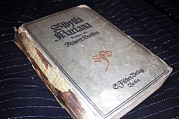 Sibylla Mariana - Roman Albert Steffen 1917