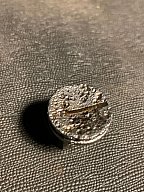 Militaria Frankreich WW1 Nuss Lebel oder Berthier