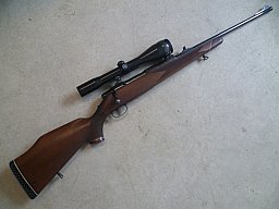 Repetierbüchse Sauer & Sohn Sauer 80 7x64