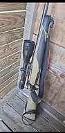 Schaftset Ergomax Oliv für Sauer 505 bzw 404