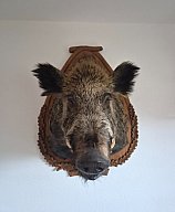 Trophäe
