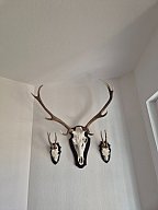 Trophäen