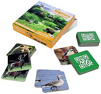 MEMORY SPIEL "Wildtiere und ihre Stimmen" | 36 Karten 6x6cm + Optional Stimmen per APP | Sehen Hören