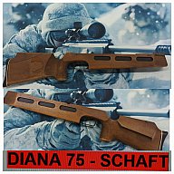 DIANA 75 MATCH Luftgewehr __ SCHAFT __ LG75 Konvolut __ Schrauben + Abzugsbügel + Schaftkappe = TOP