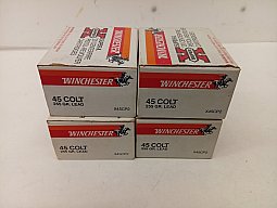 .45 Long Colt, 255 Grain Winchester 80 Schuss Lead