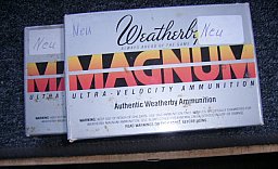 300 Weatherby Magnum Hülsen
