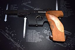 Walther GSP 22 LR
