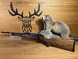 Sauer 505 Ergo Lux .308Win - 51cm - M15x1 - Elegance Paket - Waffen Schlemmer