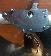 Rückstecher (Frankonia?)