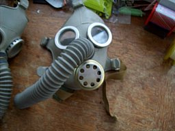 Gasmasken für Erwachsene NEU