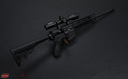 Windham Weaponzy USA Selbstladebüchse Mod. WW-15, Kal. .223 REM