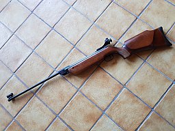 Walther LG55