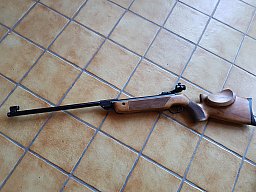 Walther LG 55 Tirolerschaft
