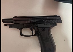 Ekol p29 rev 2