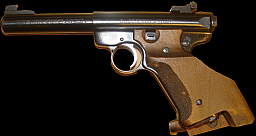 Ruger MK512 Sport