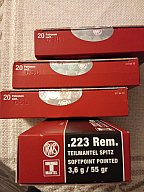 Patronen RWS .223 Rem