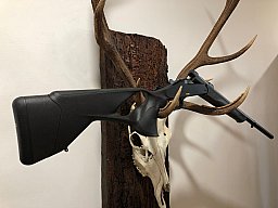 Blaser K95 Ultimate, Kal.308, 47cm LL, Neu u. sofort lieferbar v. Willenbach GmbH