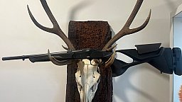 Blaser K95 Ultimate Leder, Kal.308, 42cm LL, Neu u. sofort lieferbar v. Willenbach GmbH