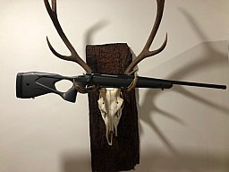 Sako S20, Kal.308, 51cm LL, Neu u. sofort lieferbar v. Willenbach GmbH
