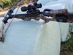 Ten Point Armbrust