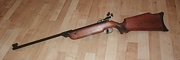 Walther LG55