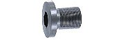 E 21, 005143 ANSCHÜTZ Zylinderschraube M6 x 0,75 x 14 B N40