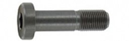 E005152 ANSCHÜTZ Zylinderschraube Schraube 1907 1912 1913 54.30 6x0,75x30