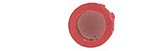 003235, ANSCHÜTZ, Signalring 1607-11, Modell 1910, 1911, 1913, NEU
