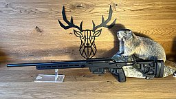 Tikka T3x ACE Target .308Win - 62cm - 5/8x24 - Waffen Schlemmer Ingolstadt