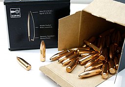 50 Stück NEUE RWS Geschosse SCORION Match Geschosse HP .224 / 5,56MM - 69grs 4,5g Hohlspitz #2421639