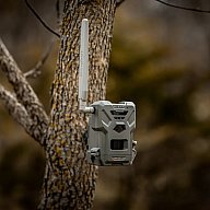 Spypoint FLEX-M LTE Wildkamera 28MP Funk Versandkostenfrei 680615