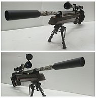 ANSCHÜTZ 2001 SuperAir ___ Komplett Umbau ___ Field Target ___ Match Luftgewehr
