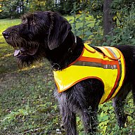 REFLEKTORWESTE Signalweste für Hunde | aus einem Stück gefertigt, waschbar | Größe 4: Vorstehhunde