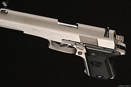 Colt Double Eagle MK-II / Series 90 Kaliber 10mmAuto