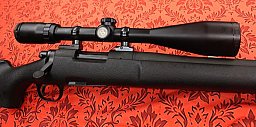Remington 700 in Kal. 308Win mit Magazin und Bushnell Zielfernrohr nicht Savage Bergara