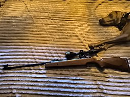 Diana Mod 38 Exportversion 16-18 Joule