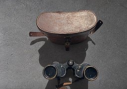 Carl Zeiss Jena Silvarem 6x30