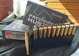 300 Weatherby Magnum