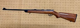 Norinco Einzellader 22lfb Modell JW15A