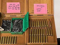 .243 Win Konvolut Geschosse Sierra und Hülsen T und HP